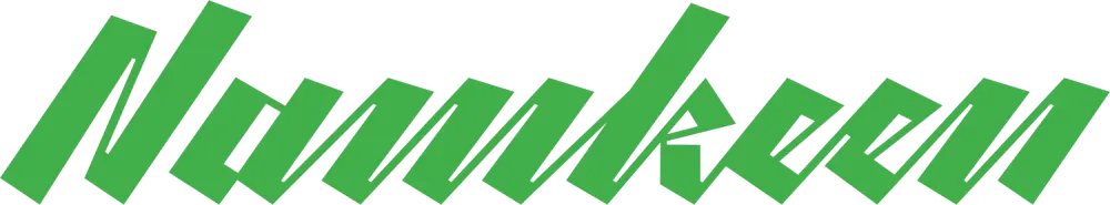 Namkeen